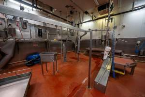 Cattle processing room - Captured at Gathercole's Wangaratta Abattoir, Wangaratta VIC Australia.