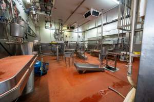 Cattle processing room - Captured at Gathercole's Wangaratta Abattoir, Wangaratta VIC Australia.