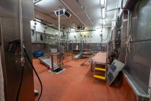 Cattle processing room - Captured at Gathercole's Wangaratta Abattoir, Wangaratta VIC Australia.