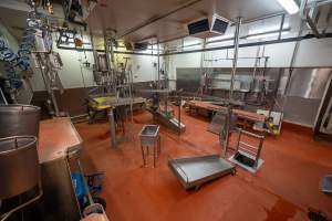 Cattle processing room - Captured at Gathercole's Wangaratta Abattoir, Wangaratta VIC Australia.