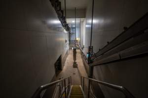 Shackle line between cattle and sheep/pig kill rooms - Leading to the chillers - Captured at Gathercole's Wangaratta Abattoir, Wangaratta VIC Australia.