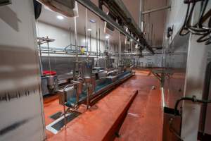 Sheep/pig processing room - For sheep, pigs and goats - Captured at Gathercole's Wangaratta Abattoir, Wangaratta VIC Australia.