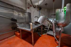 V restraint and sticking table - For sheep, pigs and goats - Captured at Gathercole's Wangaratta Abattoir, Wangaratta VIC Australia.