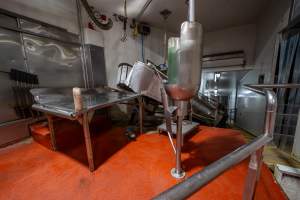 V restraint and sticking table - For sheep, pigs and goats - Captured at Gathercole's Wangaratta Abattoir, Wangaratta VIC Australia.