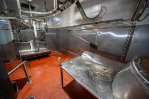 Sticking table and scalding tank - In sheep/pig/goat kill room. - Captured at Gathercole's Wangaratta Abattoir, Wangaratta VIC Australia.