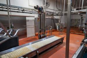 Sheep/pig/goat processing roomo - Captured at Gathercole's Wangaratta Abattoir, Wangaratta VIC Australia.