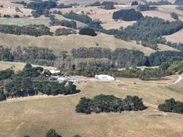Drone flyover of rabbit farm - Captured at Southern Farmed Rabbits, Kardella VIC Australia.