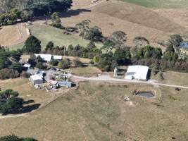 Drone flyover of rabbit farm - Captured at Southern Farmed Rabbits, Kardella VIC Australia.