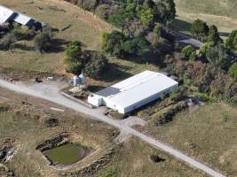 Drone flyover of rabbit farm - Captured at Southern Farmed Rabbits, Kardella VIC Australia.
