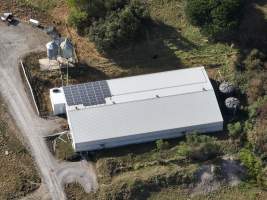 Drone flyover of rabbit farm - Captured at Southern Farmed Rabbits, Kardella VIC Australia.