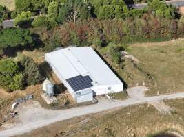 Drone flyover of rabbit farm - Captured at Southern Farmed Rabbits, Kardella VIC Australia.