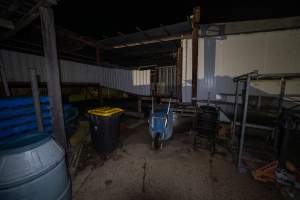 Outside back of rabbit/sheep slaughterhouse - Raised holding pens in background. - Captured at Gippsland Meats, Bairnsdale VIC Australia.