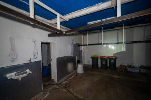 Kill room in rabbit/sheep slaughterhouse - Captured at Gippsland Meats, Bairnsdale VIC Australia.