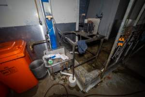 Kill room in rabbit/sheep slaughterhouse - Captured at Gippsland Meats, Bairnsdale VIC Australia.