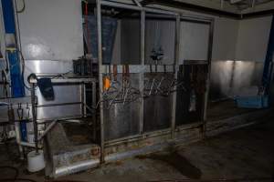 Kill room in rabbit/sheep slaughterhouse - Captured at Gippsland Meats, Bairnsdale VIC Australia.