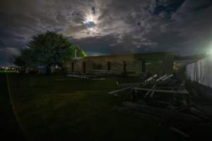 Outside rabbit/sheep slaughterhouse - Captured at Gippsland Meats, Bairnsdale VIC Australia.