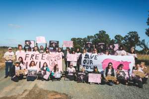 Animal activists asking for the release of Olivia (sow 8416) at Midland Bacon in Victoria - Image taken outside Midland Bacon, where a worker was filmed r*ping sow 8416 (now named Olivia) while she was trapped inside her farrowing crate. This day of action was part of the campaign to Free Olivia. - Captured at Midland Bacon, Carag Carag VIC Australia.