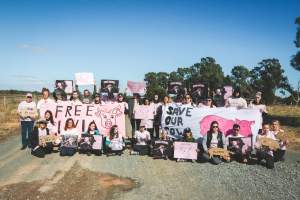 Animal activists asking for the release of Olivia (sow 8416) at Midland Bacon in Victoria - Image taken outside Midland Bacon, where a worker was filmed r*ping sow 8416 (now named Olivia) while she was trapped inside her farrowing crate. This day of action was part of the campaign to Free Olivia. - Captured at Midland Bacon, Carag Carag VIC Australia.