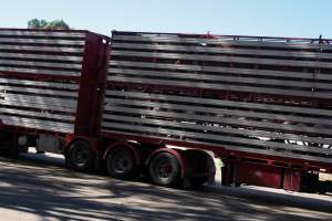 Transport Truck outside of Benalla - Photos taken at vigil at Benalla, where pigs were seen being unloaded from a transport truck into the slaughterhouse, one of the pig slaughterhouses which use carbon dioxide stunning in Victoria. - Captured at Benalla Abattoir, Benalla VIC Australia.