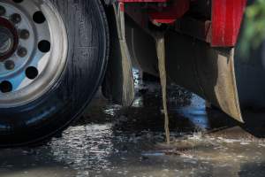 Dirty Water Pouring out of Transport Truck - Photos taken at vigil at Benalla, where pigs were seen being unloaded from a transport truck into the slaughterhouse, one of the pig slaughterhouses which use carbon dioxide stunning in Victoria. - Captured at Benalla Abattoir, Benalla VIC Australia.