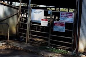 Signs outside of Benalla - Photos taken at vigil at Benalla, where pigs were seen being unloaded from a transport truck into the slaughterhouse, one of the pig slaughterhouses which use carbon dioxide stunning in Victoria. - Captured at Benalla Abattoir, Benalla VIC Australia.