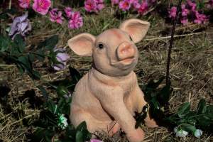 Memorial outside of Midland Bacon - Photos taken outside Midland Bacon, where activists were asking for the release of Olivia, a mother sow who was sexually assaulted while confined in a farrowing crate. - Captured at Midland Bacon, Carag Carag VIC Australia.