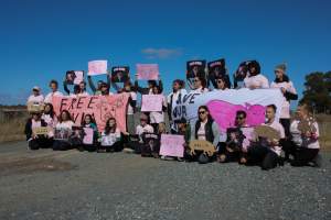 Animals Activists asking for the release of Olivia - Photos taken outside Midland Bacon, where activists were asking for the release of Olivia, a mother sow who was sexually assaulted while confined in a farrowing crate. - Captured at Midland Bacon, Carag Carag VIC Australia.