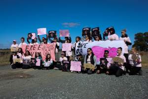Animals Activists asking for the release of Olivia - Photos taken outside Midland Bacon, where activists were asking for the release of Olivia, a mother sow who was sexually assaulted while confined in a farrowing crate. - Captured at Midland Bacon, Carag Carag VIC Australia.