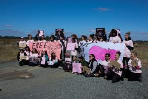 Animals Activists asking for the release of Olivia - Photos taken outside Midland Bacon, where activists were asking for the release of Olivia, a mother sow who was sexually assaulted while confined in a farrowing crate. - Captured at Midland Bacon, Carag Carag VIC Australia.