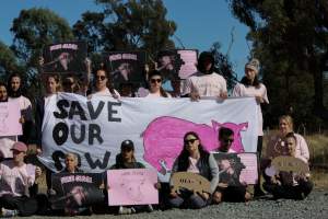 Animals Activists asking for the release of Olivia - Photos taken outside Midland Bacon, where activists were asking for the release of Olivia, a mother sow who was sexually assaulted while confined in a farrowing crate. - Captured at Midland Bacon, Carag Carag VIC Australia.