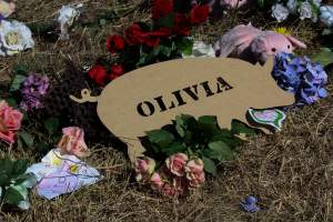 Memorial outside of Midland Bacon - Photos taken outside Midland Bacon, where activists were asking for the release of Olivia, a mother sow who was sexually assaulted while confined in a farrowing crate. - Captured at Midland Bacon, Carag Carag VIC Australia.