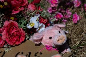 Memorial outside of Midland Bacon - Photos taken outside Midland Bacon, where activists were asking for the release of Olivia, a mother sow who was sexually assaulted while confined in a farrowing crate. - Captured at Midland Bacon, Carag Carag VIC Australia.