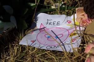 Memorial outside of Midland Bacon - Photos taken outside Midland Bacon, where activists were asking for the release of Olivia, a mother sow who was sexually assaulted while confined in a farrowing crate. - Captured at Midland Bacon, Carag Carag VIC Australia.