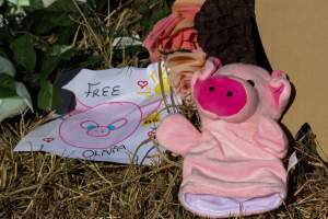 Memorial outside of Midland Bacon - Photos taken outside Midland Bacon, where activists were asking for the release of Olivia, a mother sow who was sexually assaulted while confined in a farrowing crate. - Captured at Midland Bacon, Carag Carag VIC Australia.