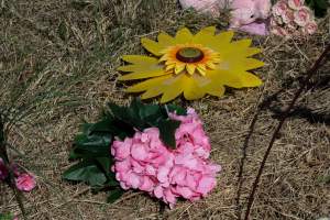 Memorial outside of Midland Bacon - Photos taken outside Midland Bacon, where activists were asking for the release of Olivia, a mother sow who was sexually assaulted while confined in a farrowing crate. - Captured at Midland Bacon, Carag Carag VIC Australia.