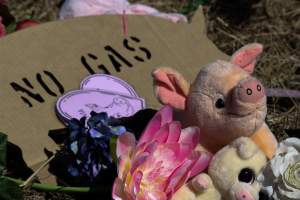 Memorial outside of Midland Bacon - Photos taken outside Midland Bacon, where activists were asking for the release of Olivia, a mother sow who was sexually assaulted while confined in a farrowing crate. - Captured at Midland Bacon, Carag Carag VIC Australia.