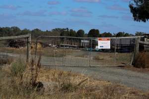 Outside of Midland Bacon - Photos taken outside Midland Bacon, where activists were asking for the release of Olivia, a mother sow who was sexually assaulted while confined in a farrowing crate. - Captured at Midland Bacon, Carag Carag VIC Australia.