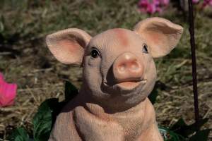 Memorial outside of Midland Bacon - Photos taken outside Midland Bacon, where activists were asking for the release of Olivia, a mother sow who was sexually assaulted while confined in a farrowing crate. - Captured at Midland Bacon, Carag Carag VIC Australia.