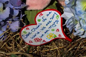 Memorial outside of Midland Bacon - Photos taken outside Midland Bacon, where activists were asking for the release of Olivia, a mother sow who was sexually assaulted while confined in a farrowing crate. - Captured at Midland Bacon, Carag Carag VIC Australia.