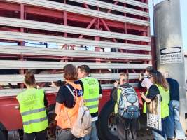 Animal rights advocates bearing witness to pigs being unloaded off truck outside Benalla Slaughterhouse - Captured at Benalla Abattoir, Benalla VIC Australia.