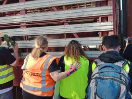 Animal rights advocates bearing witness to pigs being unloaded off truck outside Benalla Slaughterhouse - Captured at Benalla Abattoir, Benalla VIC Australia.
