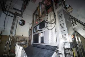 Cattle knockbox in kill room - Captured at Ralphs Meat Co, Seymour VIC Australia.