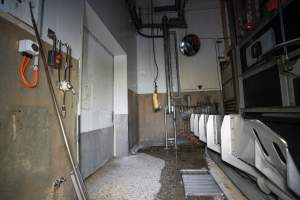 Cattle kill room - Knockbox at the right edge of photo - Captured at Ralphs Meat Co, Seymour VIC Australia.