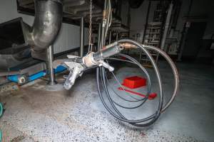 Machinery inside cattle kill room - Captured at Ralphs Meat Co, Seymour VIC Australia.