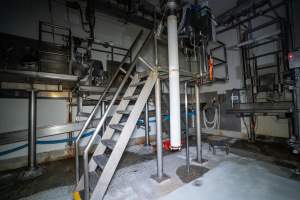 Cattle processing room - Captured at Ralphs Meat Co, Seymour VIC Australia.