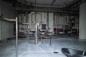 Cattle processing room - Captured at Ralphs Meat Co, Seymour VIC Australia.