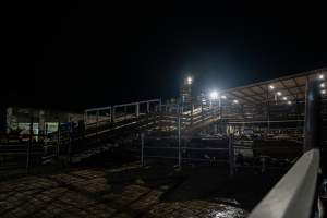 Ramp leading to upper holding pens - Captured at Ralphs Meat Co, Seymour VIC Australia.