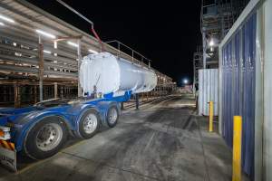 Outside slaughterhouse - Raised holding pens on the left, unloading ramp in the distance. - Captured at Ralphs Meat Co, Seymour VIC Australia.