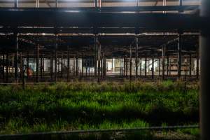 Beneath raised holding pens - Captured at Ralphs Meat Co, Seymour VIC Australia.