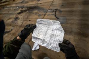 Investigator reads daily kill agenda found underneath holding pens - Captured at Ralphs Meat Co, Seymour VIC Australia.